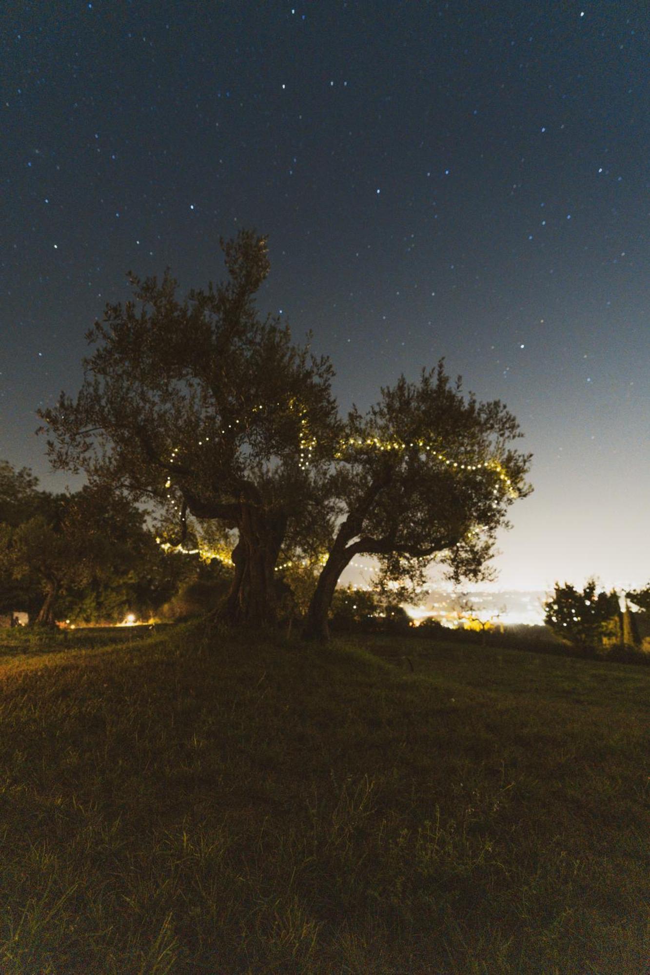 Agriturismo San Felicissimo 佩鲁贾 外观 照片