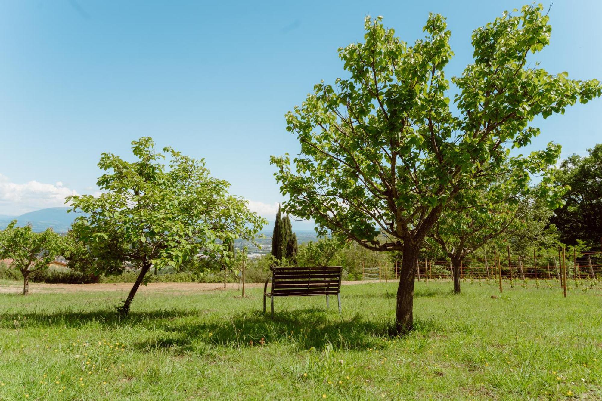 Agriturismo San Felicissimo 佩鲁贾 外观 照片