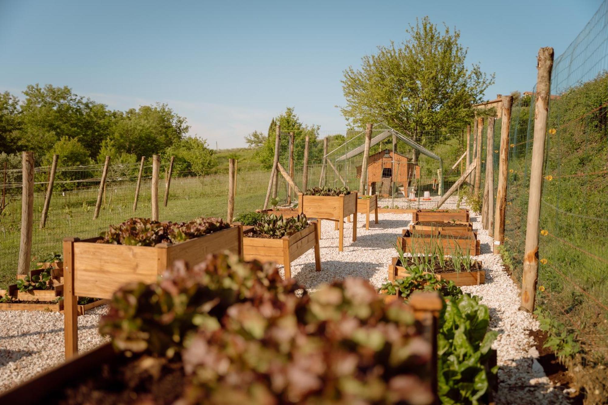 Agriturismo San Felicissimo 佩鲁贾 外观 照片