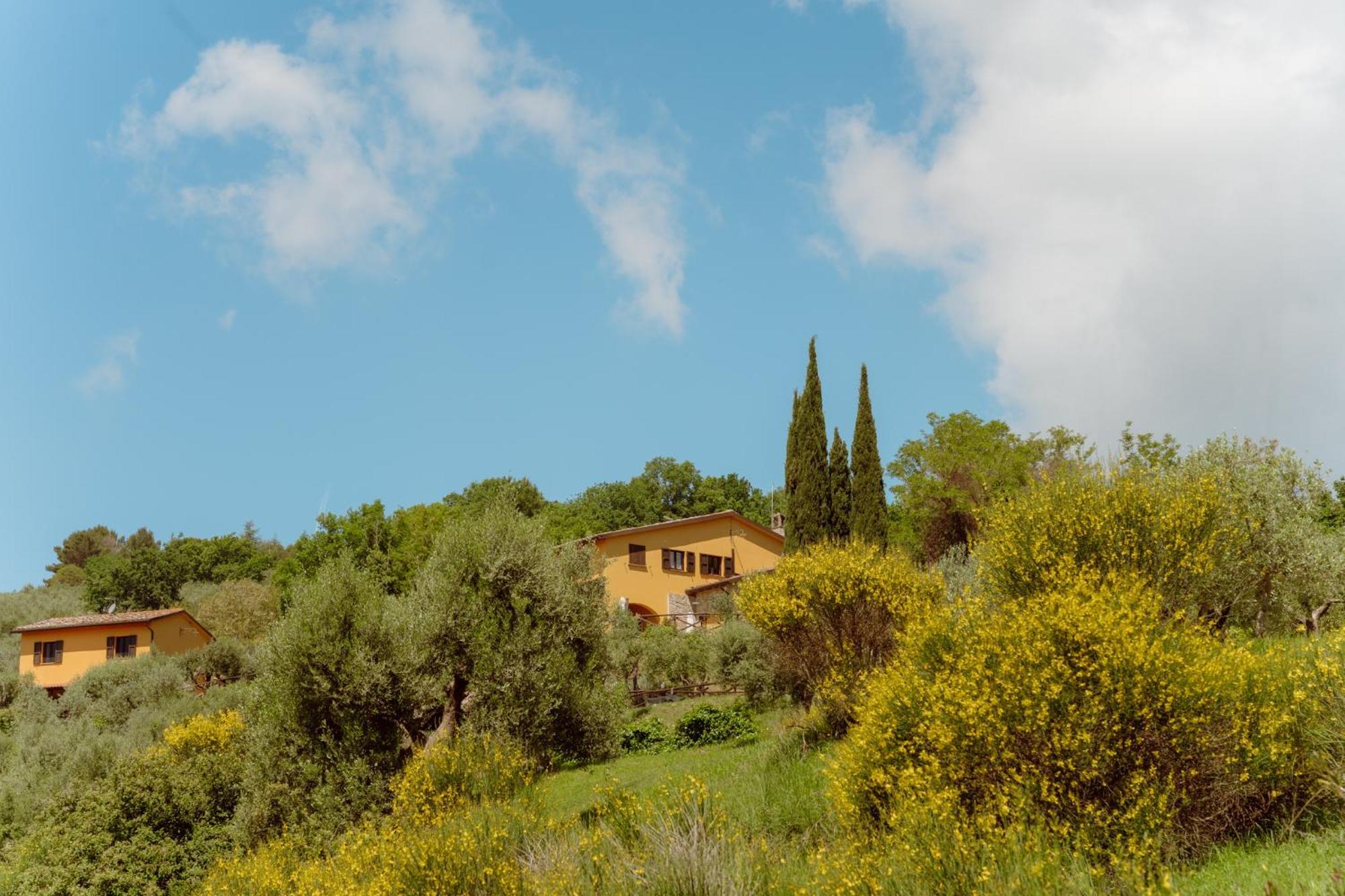 Agriturismo San Felicissimo 佩鲁贾 外观 照片